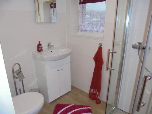 施尔奇Bergfreiheit的浴室配有卫生间、盥洗盆和淋浴。