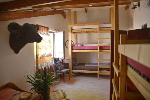 康斯坦茨格里旅舍的客房设有两张双层床和一扇窗户。