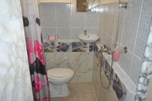 法兰西堡Résidence Plocus的一间带卫生间和水槽的浴室