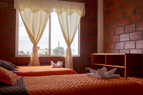 巴克里索莫雷诺港Hostal Cattleya的一间卧室设有两张床和窗户。
