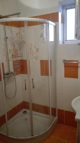 VrbovecApartmán Eva的浴室里设有玻璃门淋浴