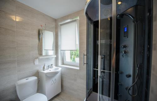 切霍齐内克Apartamenty Crystal的浴室配有卫生间、淋浴和盥洗盆。