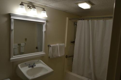 亚历山德里亚贝The Ship Motel的浴室配有盥洗盆和带镜子的淋浴