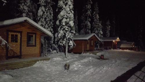 基律纳JVT Cabins的雪中小屋,带消防栓