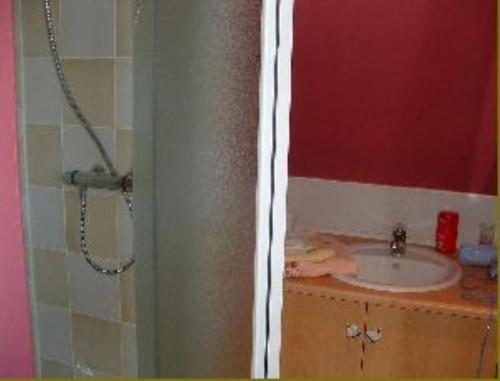 Saint-Sylvestre-Cappel三河山谷住宿加早餐旅馆的一间带水槽和淋浴的浴室
