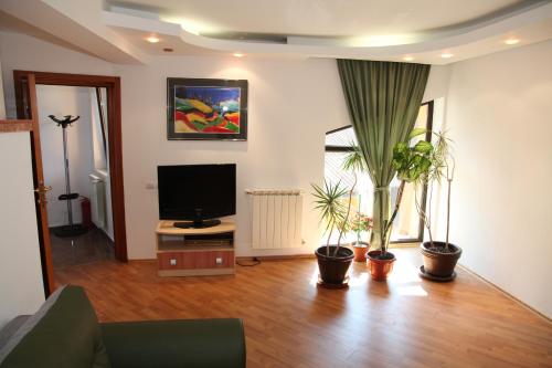 波亚纳布拉索夫Pensiunea Mihaela的客厅配有盆栽植物和平面电视