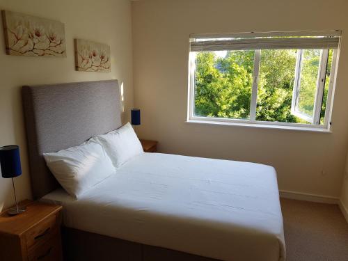 都柏林Dublin Airport Room的卧室配有白色的床和窗户。