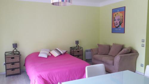 阿梅利莱班帕拉勒达Studio couleur gai的卧室配有粉红色的床和沙发