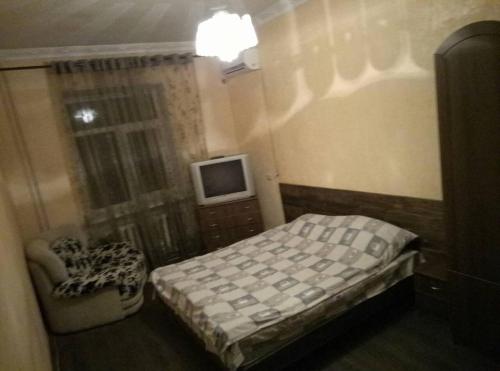 尼古拉耶夫Letto UTZ的一间带床和电视的小卧室