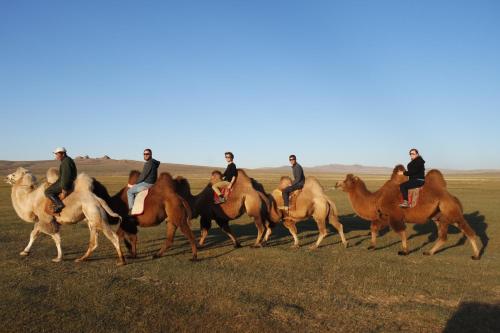 乌兰巴托Gobi - Zen的一群在田野里骑马的人