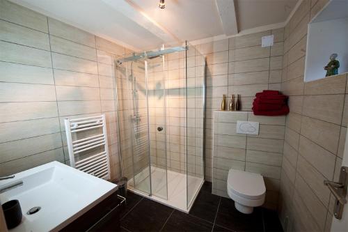 克吕特绿色艺术酒店的带淋浴、卫生间和盥洗盆的浴室