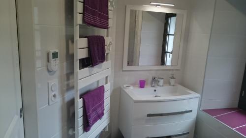 卢登维耶尔Maison de village/Appartement de charme avec extérieur的白色的浴室设有水槽和镜子