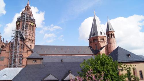 美因茨Hof Ehrenfels的一座大型城堡,有两座塔楼和两座塔楼