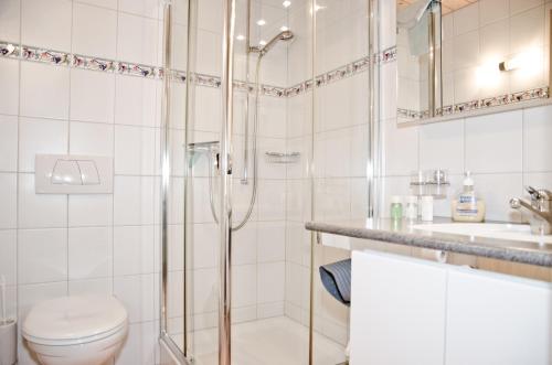 格林德尔瓦尔德Apartment Kiwi rechts - GRIWA RENT AG的带淋浴、卫生间和盥洗盆的浴室