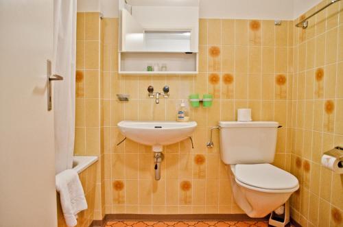 格林德尔瓦尔德Apartment Schönegg - GRIWA RENT AG的一间带卫生间和水槽的浴室