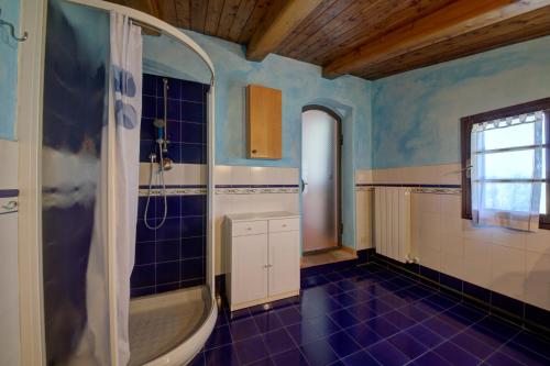 福利亚Podere Lo Stringaio的带淋浴、盥洗盆和浴缸的浴室