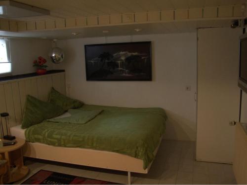 莱茵河畔威尔Gästezimmer Jülich的一间卧室配有一张带绿色棉被的床