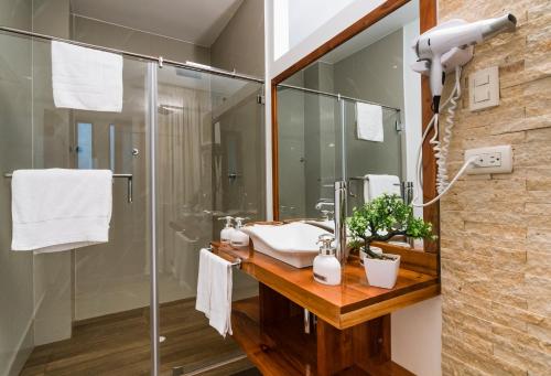 阿约拉港Hotel La Isla的一间带水槽和淋浴的浴室
