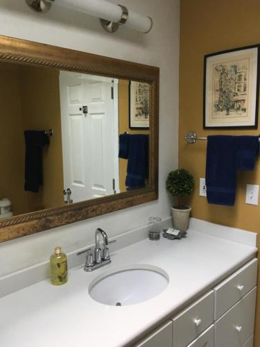 ElizabethDerinda House的一间带水槽和镜子的浴室