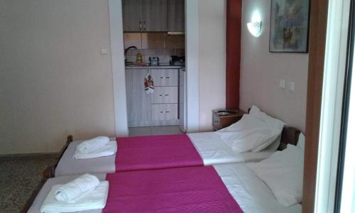 卢特拉艾季普苏Retro Rooms的一间卧室配有两张床和粉色毯子