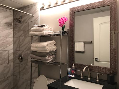 亚特兰大Wine Down Downtown ATL 14J的浴室设有水槽和带毛巾的架子。