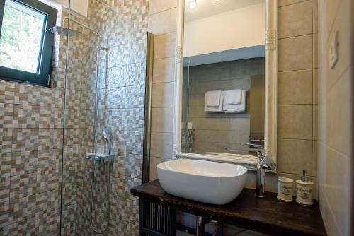 马马亚Belleview Suites的一间带水槽和玻璃淋浴的浴室