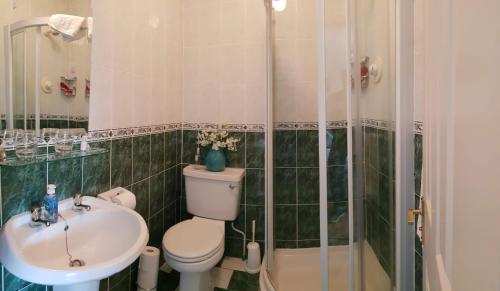 波塔姆纳Deerpark B&B的浴室配有卫生间、盥洗盆和淋浴。