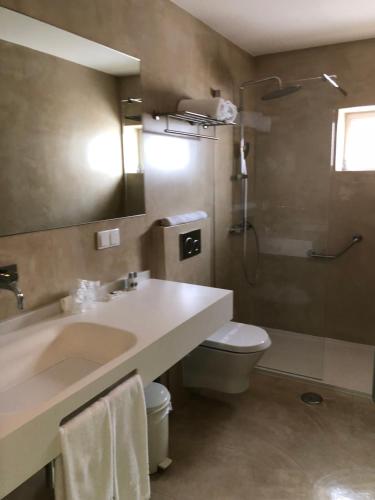 蒙蒂戈杜派瓦酒店的一间带水槽、卫生间和淋浴的浴室
