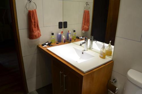 比亚里卡Outrippers Pucón的浴室设有白色水槽和镜子