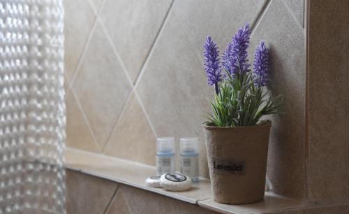 扎哈罗Hotel Διεθνές的浴室内架子上装有紫色花的花瓶