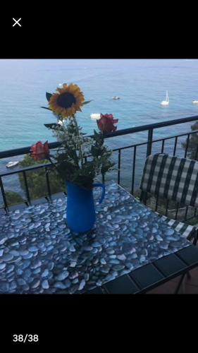 莫特拉下城区Appartamento Villa Panorama的花朵坐在桌子上的蓝色花瓶