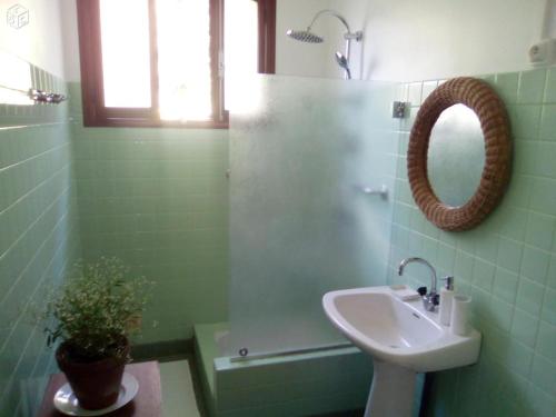 米朗德Villa Des Marronniers的绿色浴室设有水槽和镜子