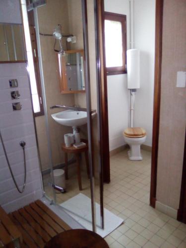 米朗德Villa Des Marronniers的带淋浴、盥洗盆和卫生间的浴室