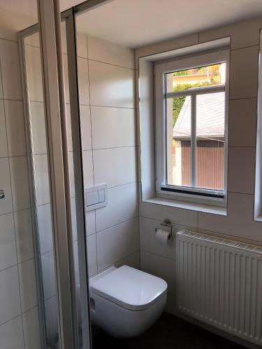 柯尼希施泰因易北Adlerhorst的一间带卫生间和窗户的浴室