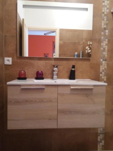 阿雅克修Villa Savane的一间带水槽和镜子的浴室