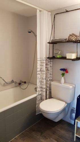 Montfaucon"Sous les Barres"的浴室设有卫生间、浴缸和淋浴帘。