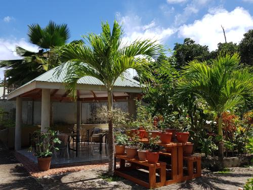 拉迪格岛岛屿简易别墅木屋的木板凳上种有盆栽植物的花园