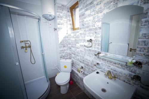 旧瓦马Casa Baran Vama Veche的浴室配有卫生间、盥洗盆和淋浴。