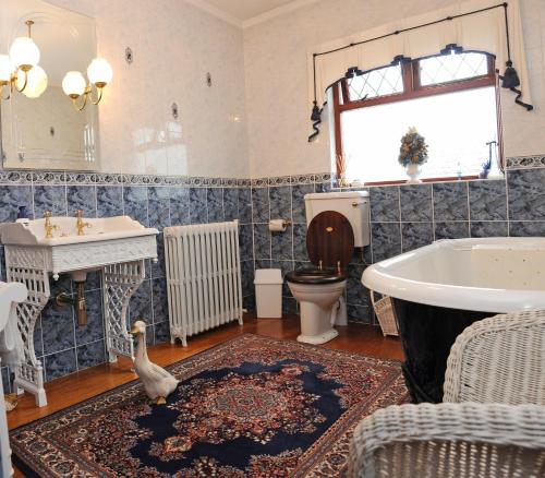 布什米尔斯考特斯摩尔住宿加早餐酒店的浴室设有卫生间,地毯上设有鸭子。