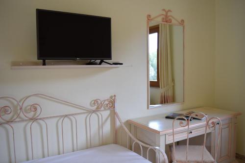 阿尔布斯Hotel Soffio di Vento的卧室配有一张床,墙上配有电视