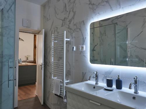 科尔马Les Appartements Saint-Martin的一间带水槽和镜子的浴室