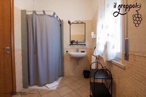 西尔米奥奈B&b Il grappolo Foresteria Lombarda的带淋浴和盥洗盆的浴室