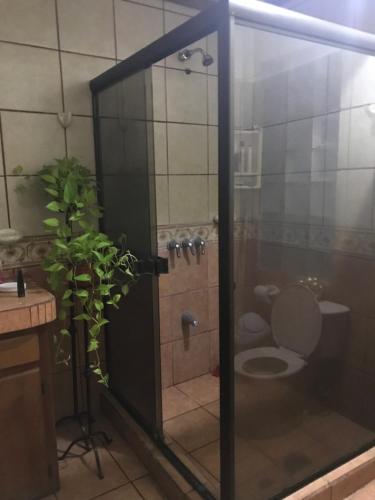 蓬塔雷纳斯Ruiselares的浴室配有淋浴和卫生间。