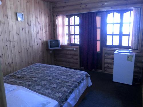 加格拉Старые Гагры的一间卧室设有一张床、一台电视和窗户。