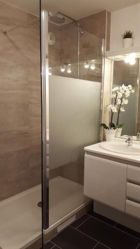 塞里斯迪斯尼F&B公寓的带淋浴和盥洗盆的浴室
