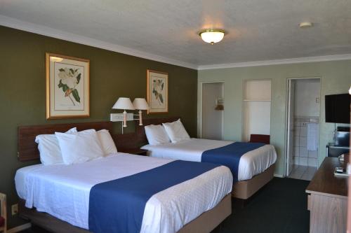 廉价旅馆客房内的一张或多张床位