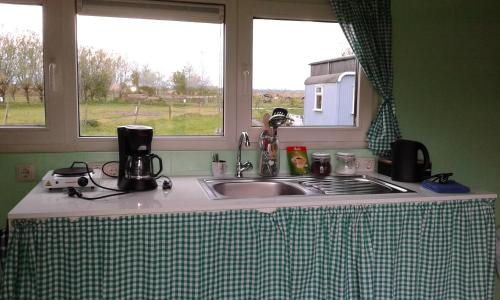 ZuiderwoudeBed & Breakfast ARKEN AE的带水槽的厨房台面和2扇窗户