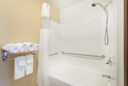 WorlandDays Inn by Wyndham Worland的带淋浴、卫生间和毛巾的浴室