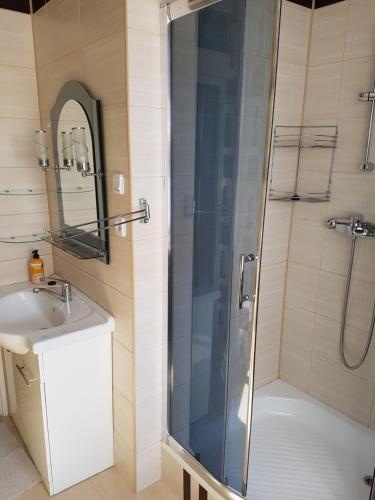 科希切日纳Apartament nr 3 w Starym Nadleśnictwie的带淋浴和盥洗盆的浴室