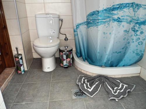 斯卡拉卡里拉奇斯Aegean Balcony的浴室设有卫生间和蓝色的浴帘。